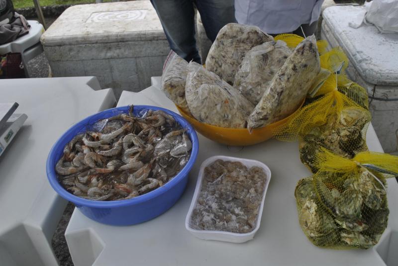  Cinco toneladas de peixes devem ser comercializadas em Festa de Peixes de Cultivo de Paranaguá