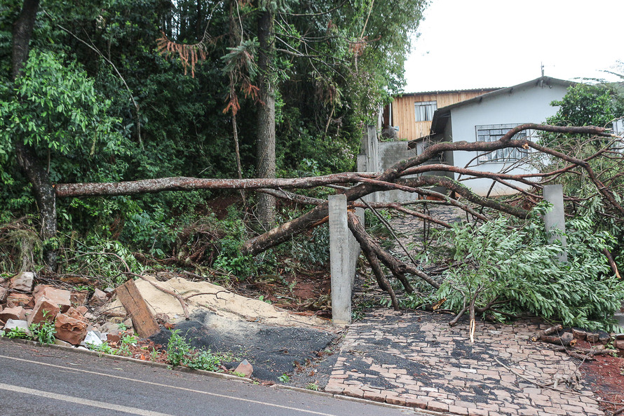  Chuvas e ventos fortes danificam cerca de 300 casas