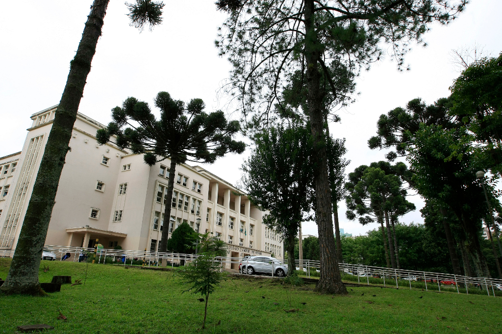  Mãe de aluna vítima de racismo recebe voz de prisão