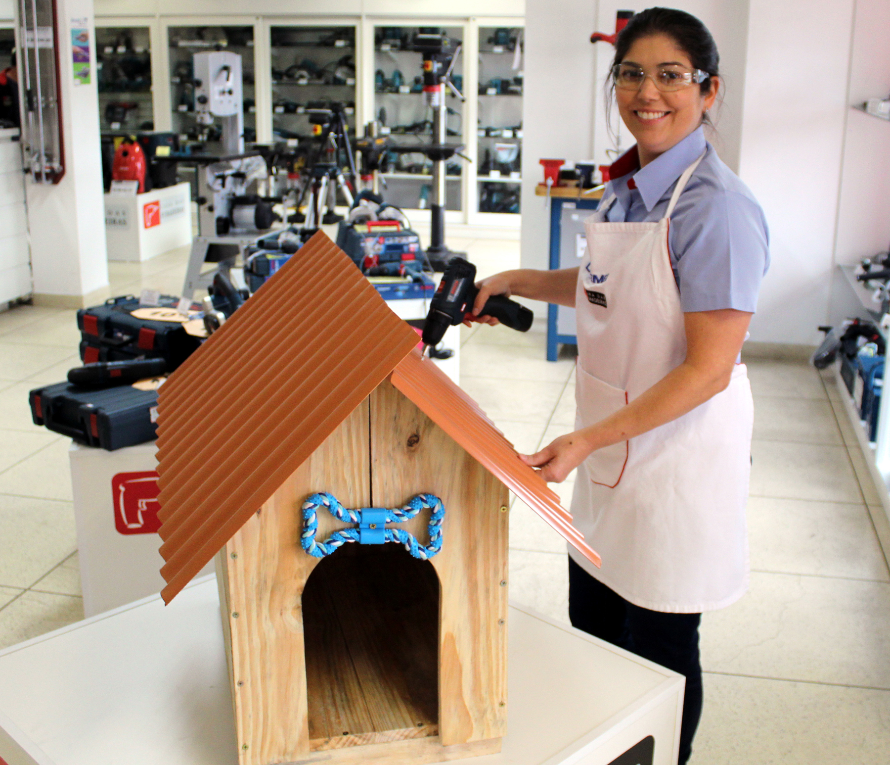  Empresa vai construir casinhas de cachorro para doação em ação de dia das crianças