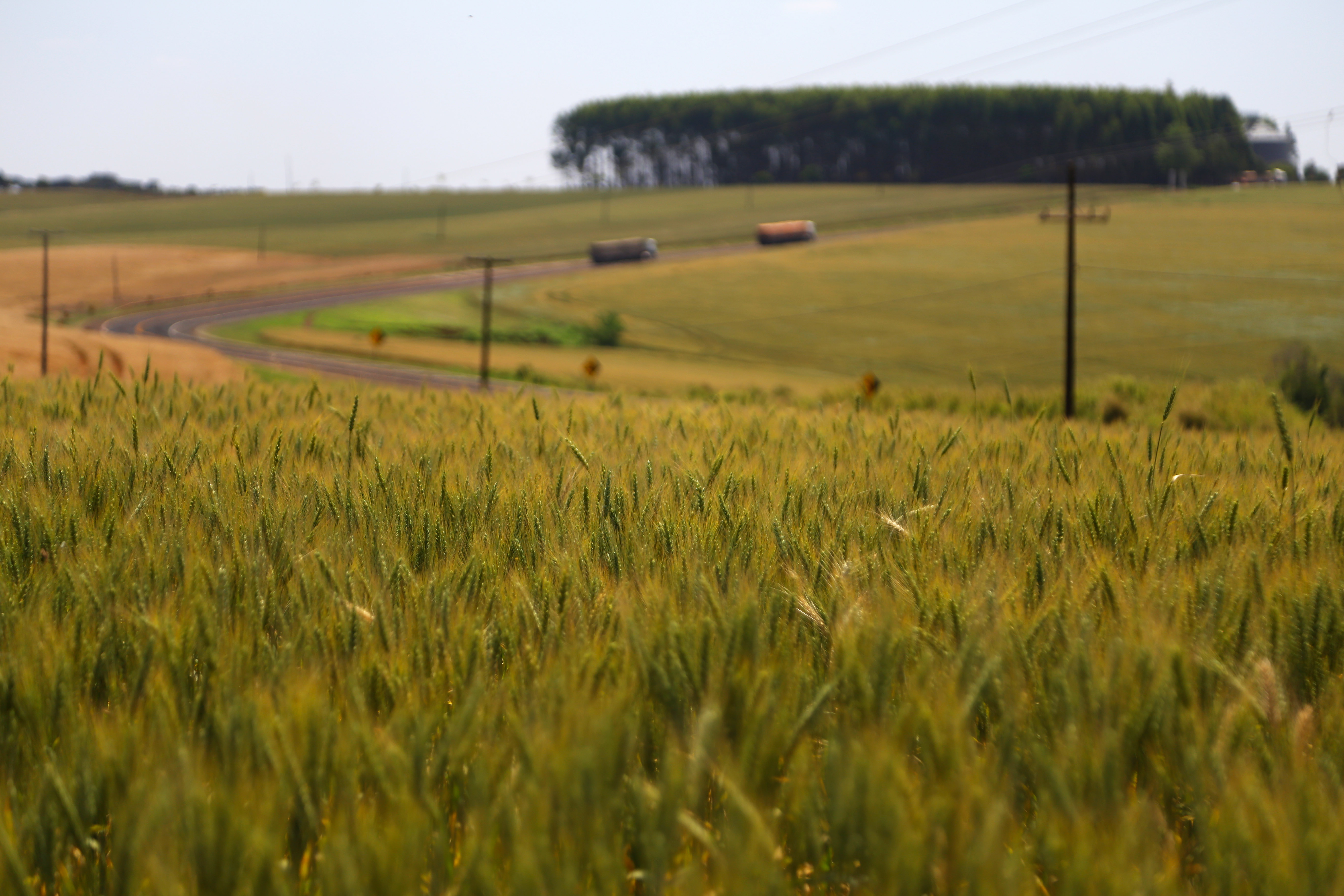  Paraná é estado com maior índice de produtividade agrícola
