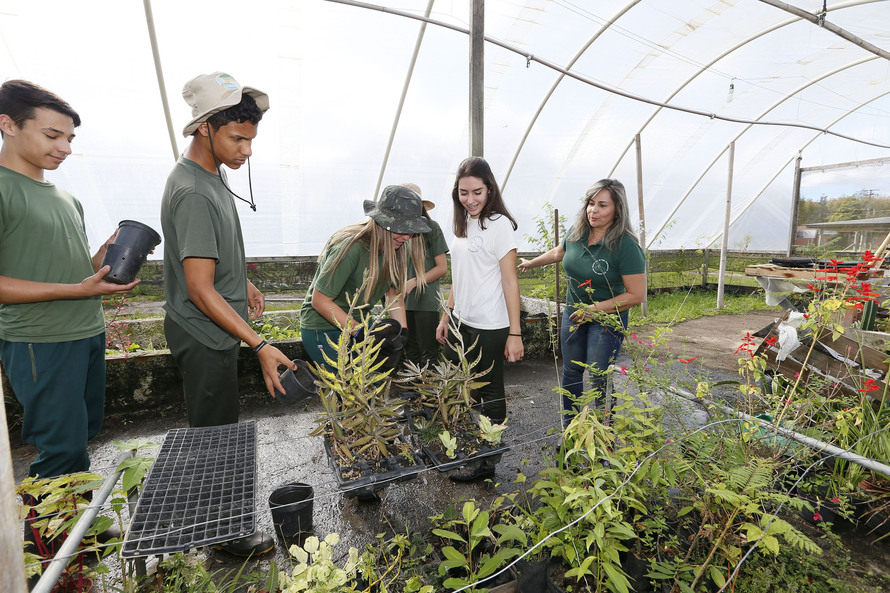 Estudantes revitalizam áreas verdes em escola de Pinhais