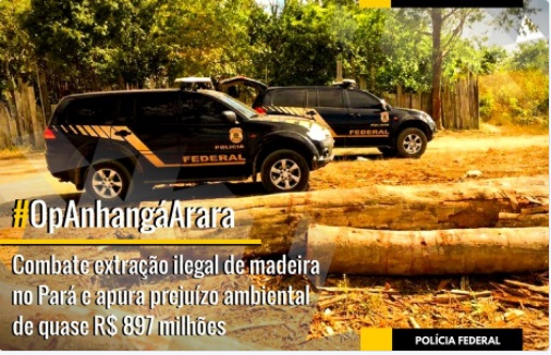  Principais alvos de operação que apura desmatamento ilegal são paranaenses