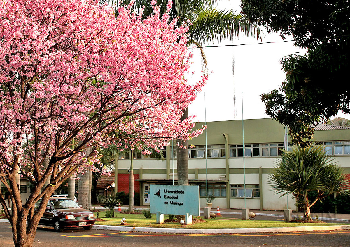 Universidade Estadual de Maringá não adere ao sistema Meta-4 e funcionários têm salários retidos
