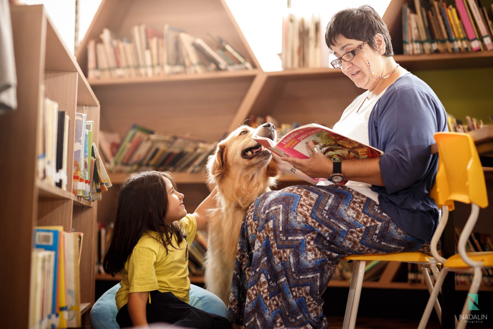  Cães vão acompanhar roda de leitura para crianças na Biblioteca Pública do Paraná