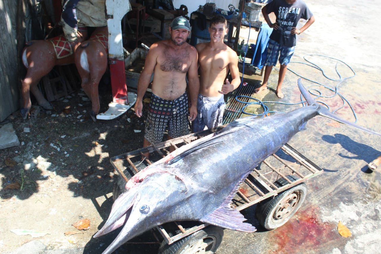  Pescador conta como retiraram o peixe de 300 quilos encontrado em Matinhos