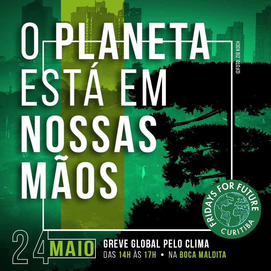  Movimento internacional pelo meio ambiente reúne manifestantes em Curitiba