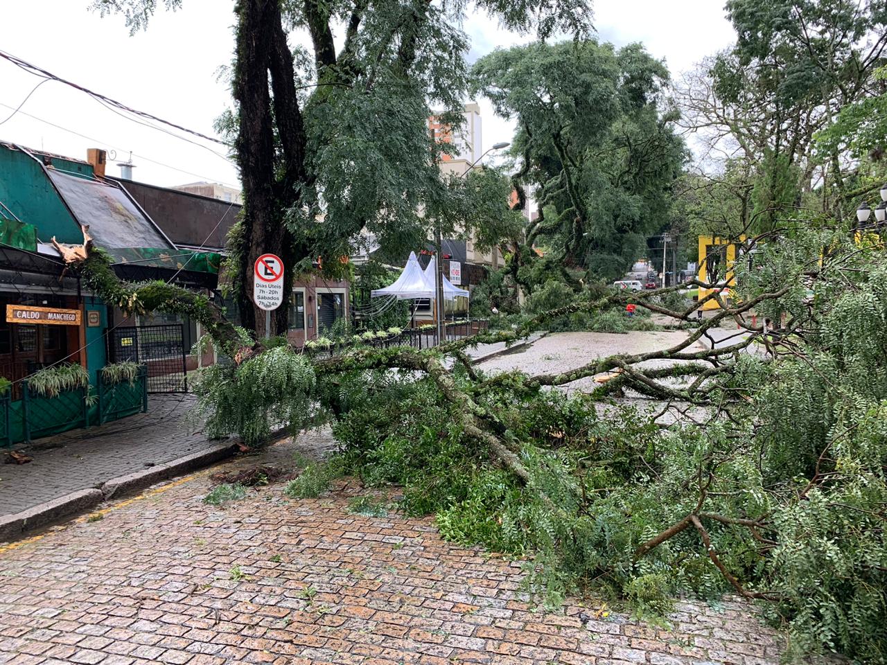  Temporal teve mais de cem quedas de árvores e galhos em Curitiba