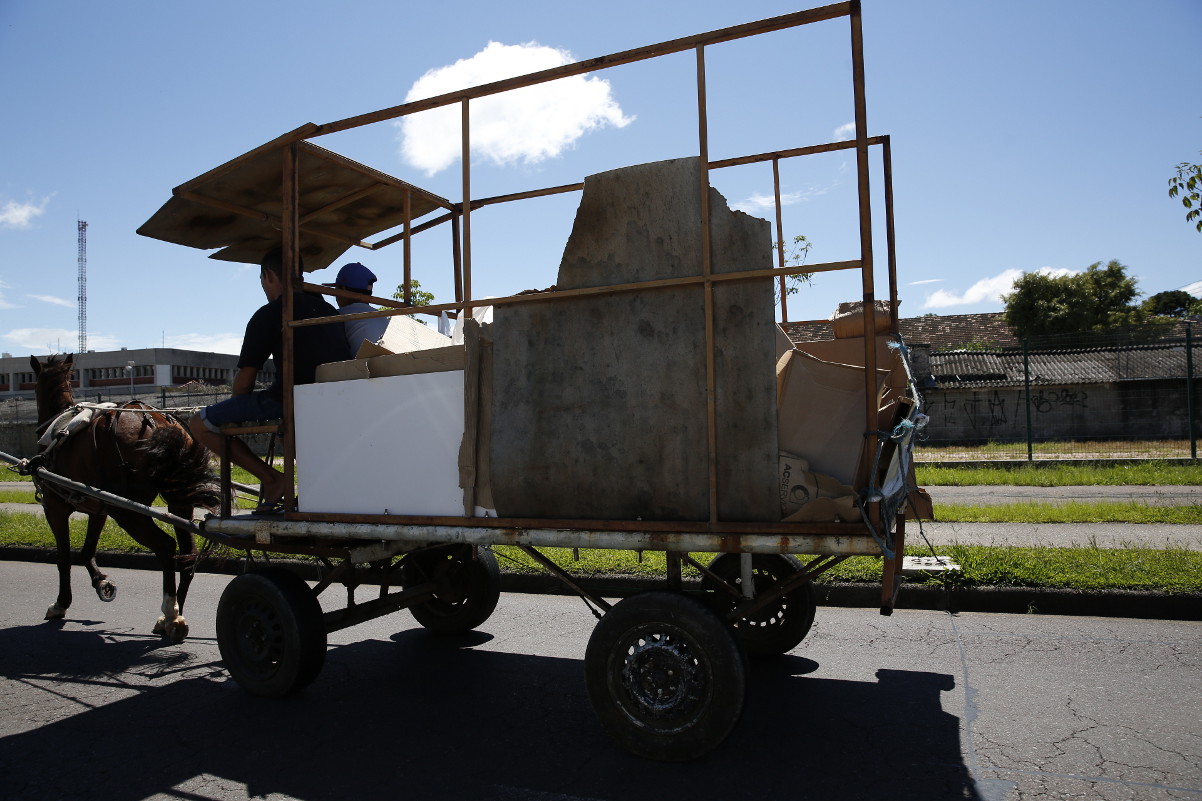 Lei proíbe uso de veículos com tração animal em Paranaguá