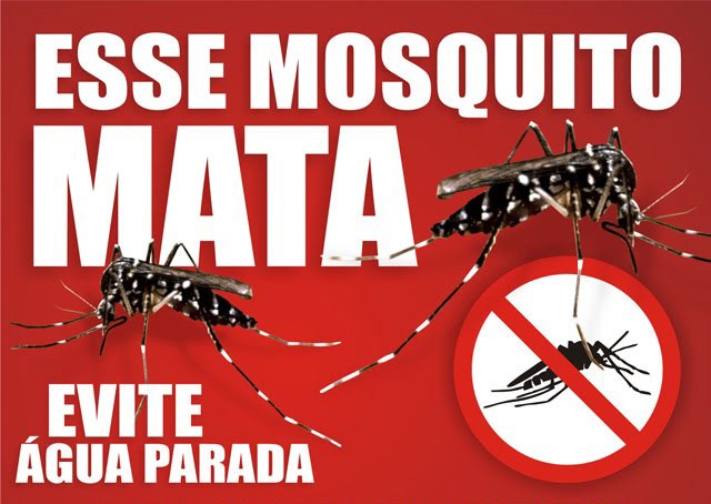  Empresas ao redor do Porto de Paranaguá se mobilizam para evitar a dengue