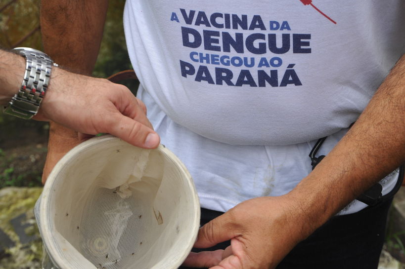  Casos de dengue aumentam em 53% com a chegada da primavera