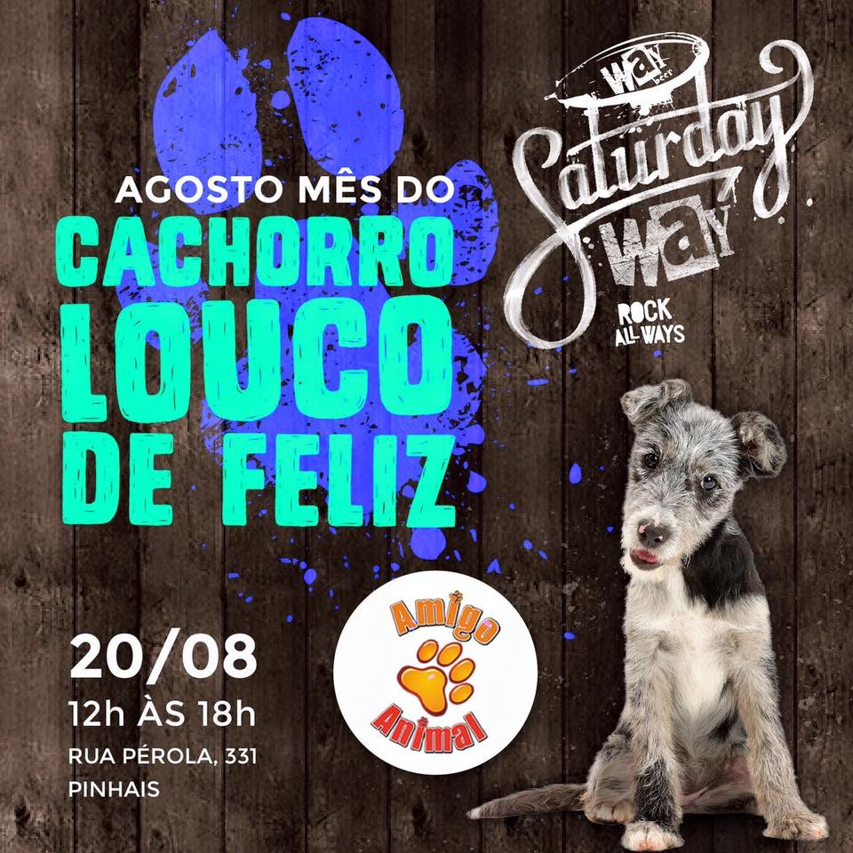  Curitiba recebe segunda edição do “Mês do Cachorro Louco de Feliz”