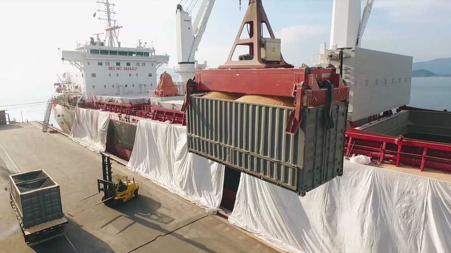  Porto de Antonina prepara esquema especial para exportar farelo de soja não transgênico