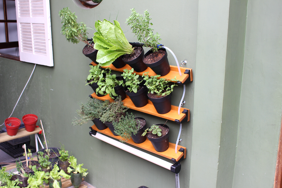  Tecnologia desenvolvida em Curitiba ajuda a cultivar hortas em casa de forma automatizada