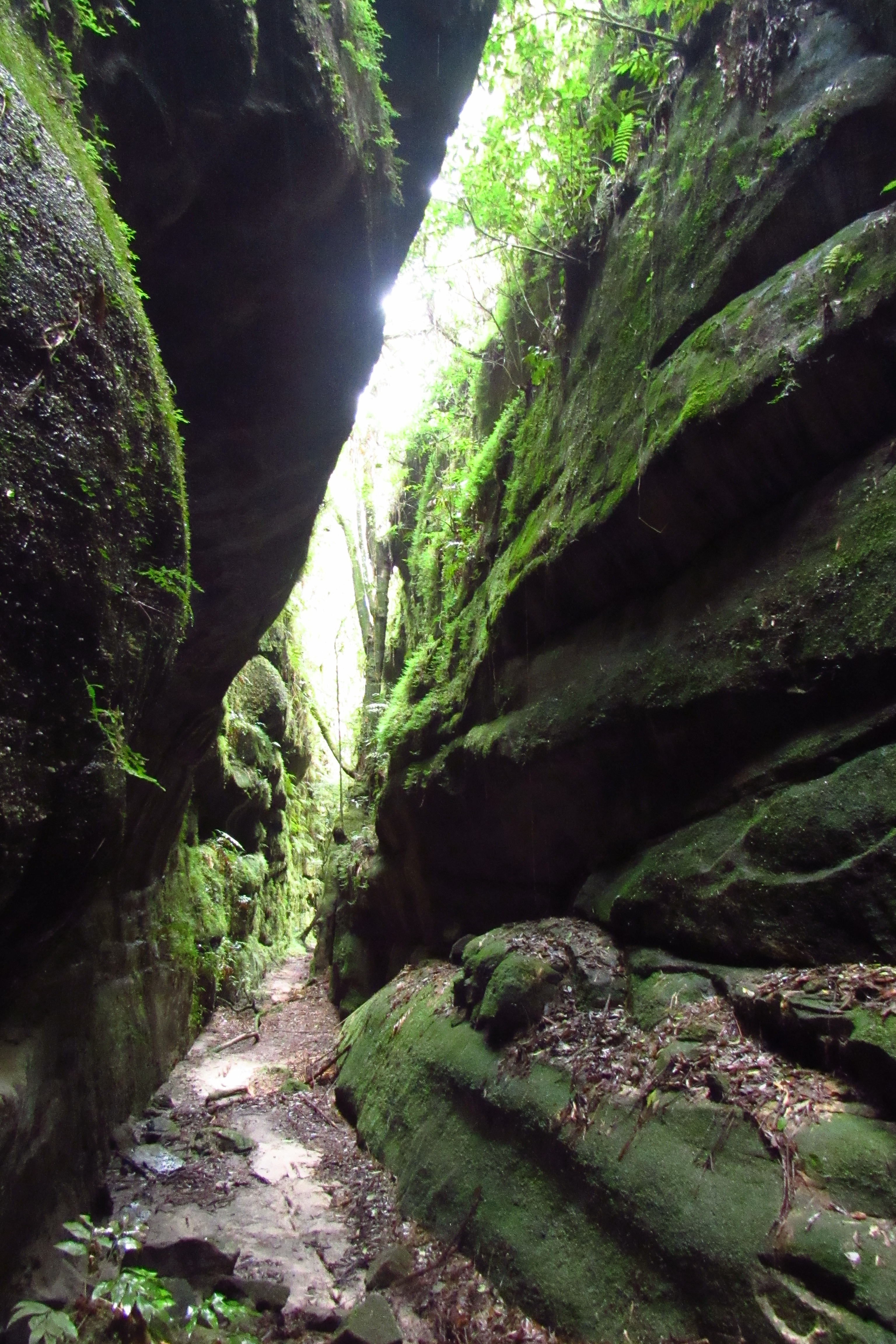  Em dois anos, ambientalistas descobrem 23 cavernas na Escarpa Devoniana