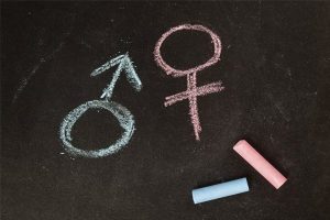 Ministro do STF suspende lei que proíbe discussão de gênero nas escolas municipais de Paranaguá