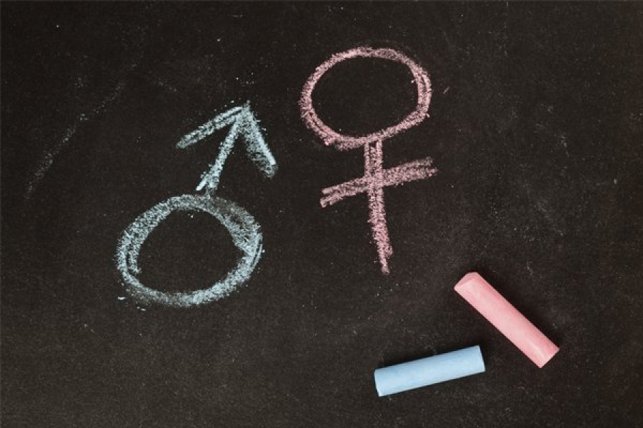  Ministro do STF suspende lei que proíbe discussão de gênero nas escolas municipais de Paranaguá