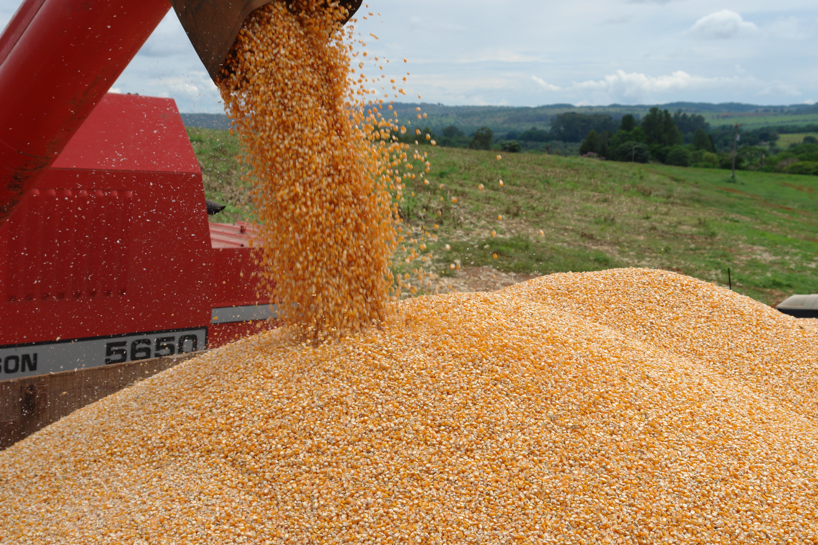  PR apresenta recuperação na produção de grãos