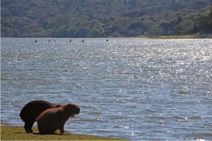  Prefeitura de Cascavel reabre Lago e Zoológico