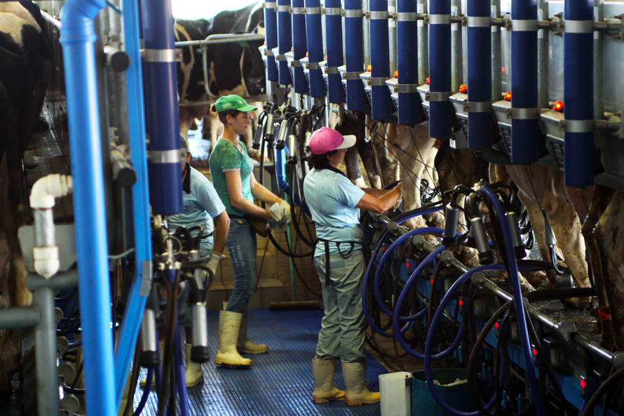  Paraná busca aumentar exportações de leite