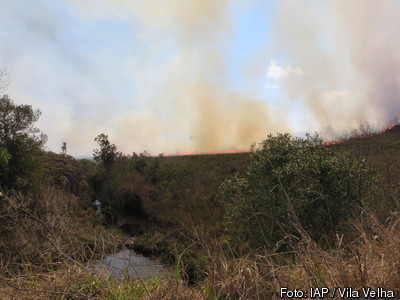  IAP utiliza fogo controlado para restaurar biodiversidade em Vila Velha