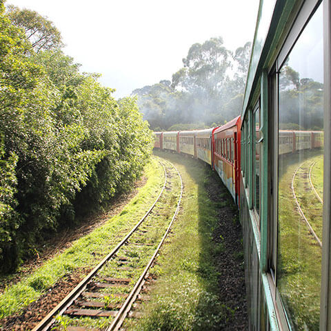  Passeios de trem entre Curitiba e Morretes ganham novos horários