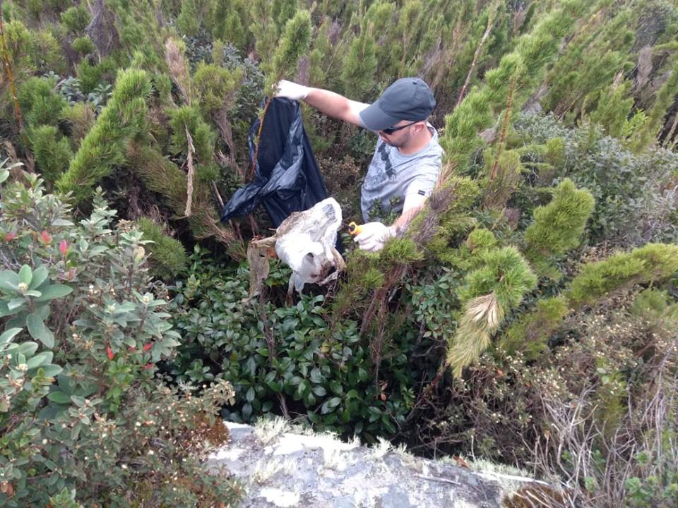  Mutirão realiza a limpeza de trilhas do Pico do Paraná