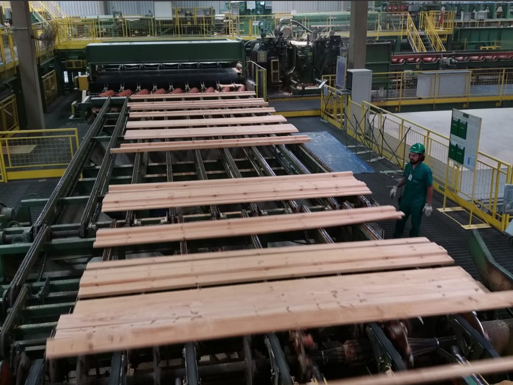  Paraná exporta madeira para países de todos os continentes
