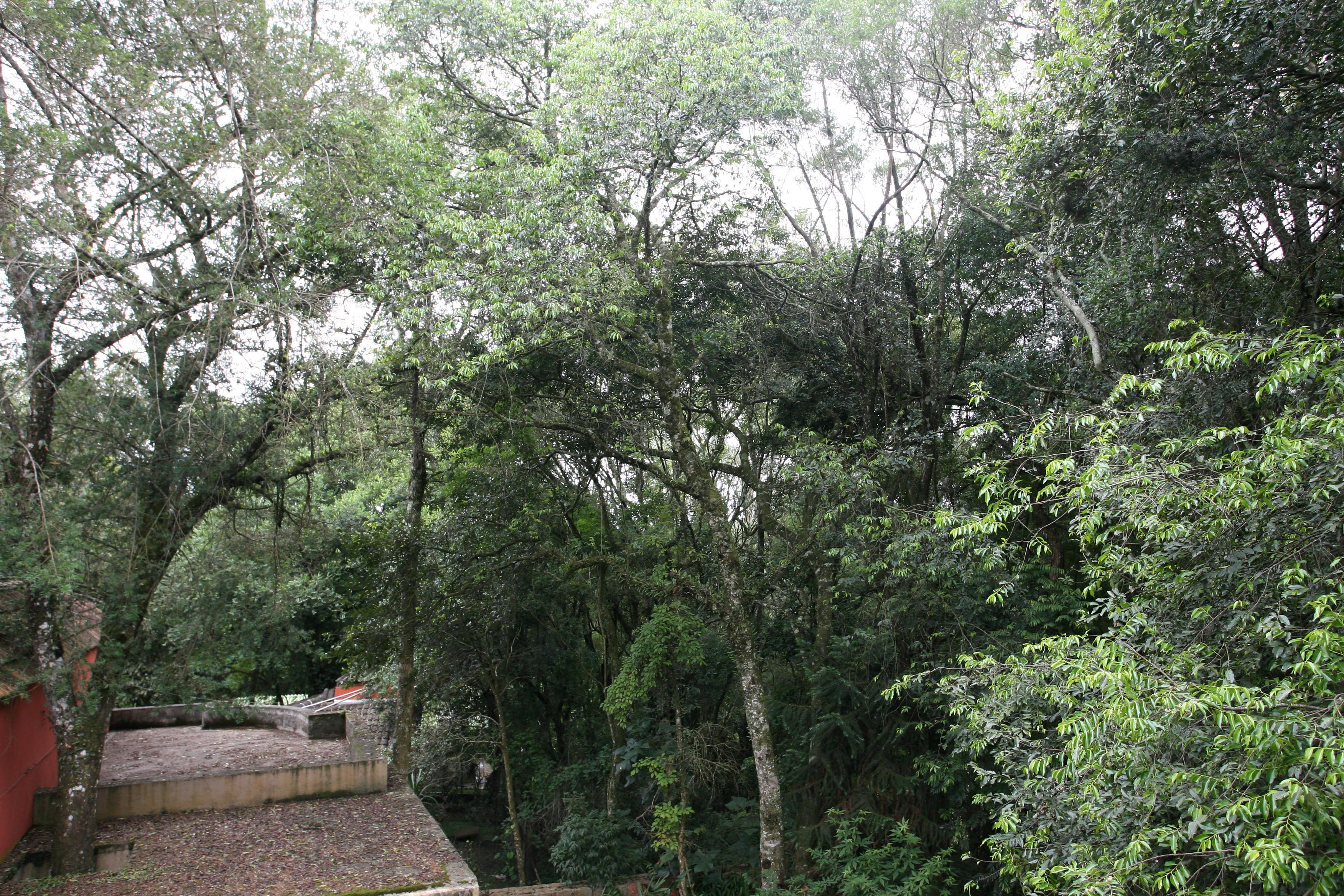  Reservas do patrimônio natural são criadas em Curitiba