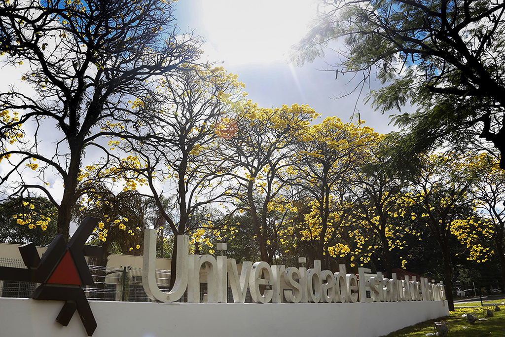  Universidades estaduais adiam vestibulares em razão da pandemia