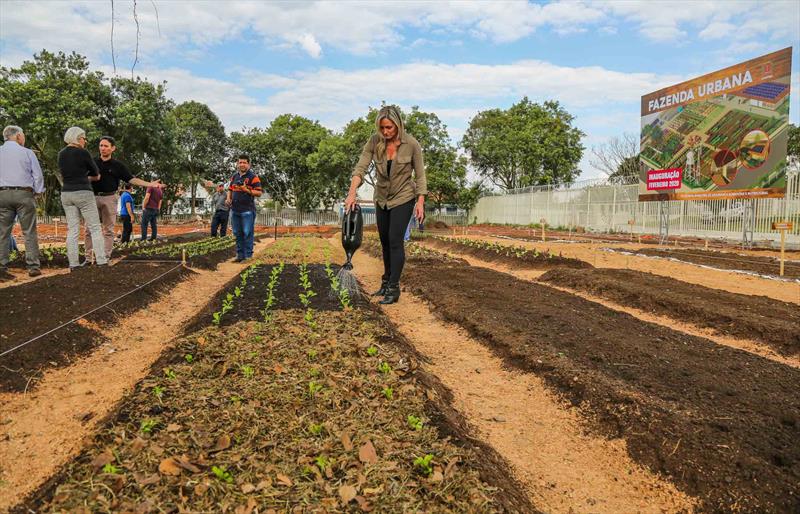 Começa a tomar forma a primeira fazenda urbana de Curitiba