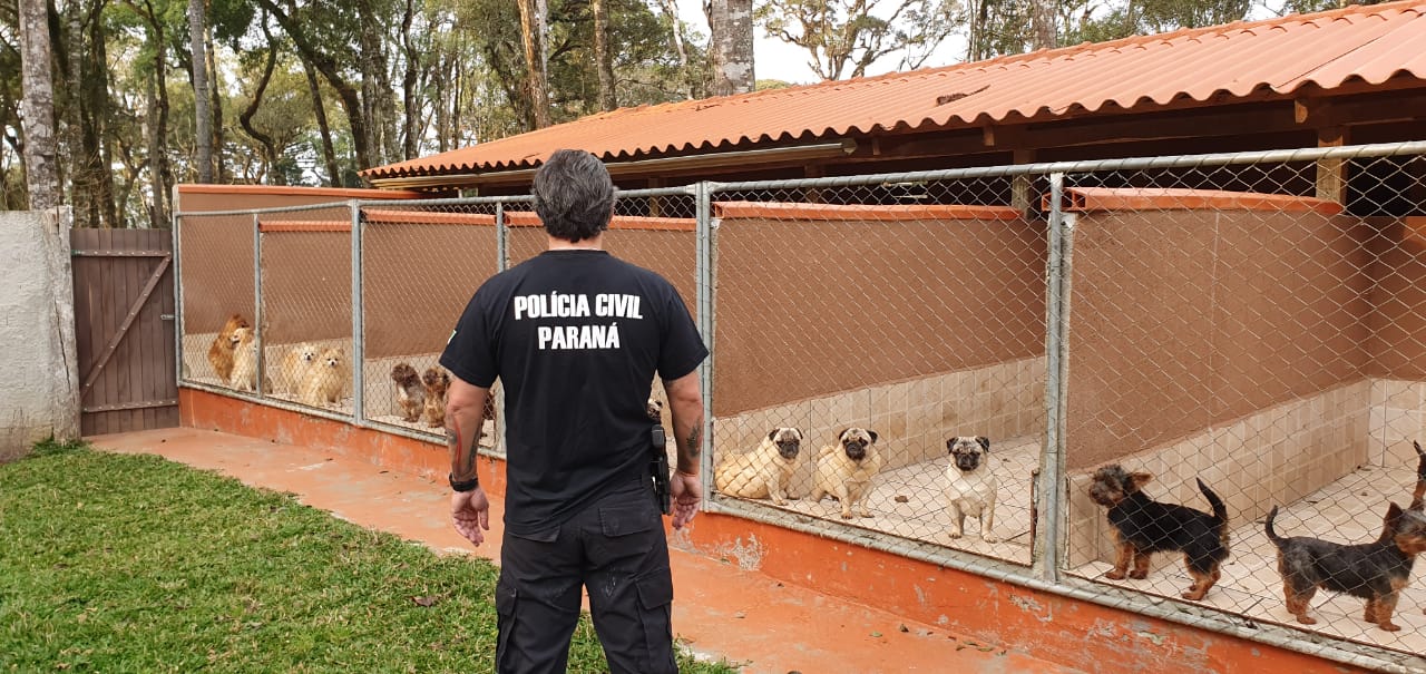  Rede de pet shops que atua em Curitiba e Região Metropolitana é alvo de operação da Polícia Civil