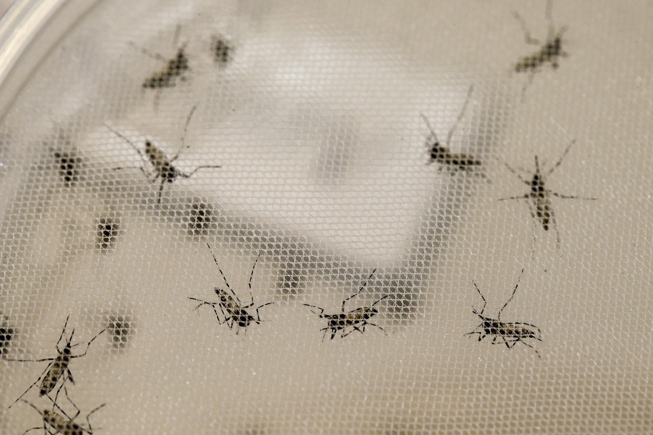  Paraná atinge a marca de mais de 1.700 casos ativos de dengue