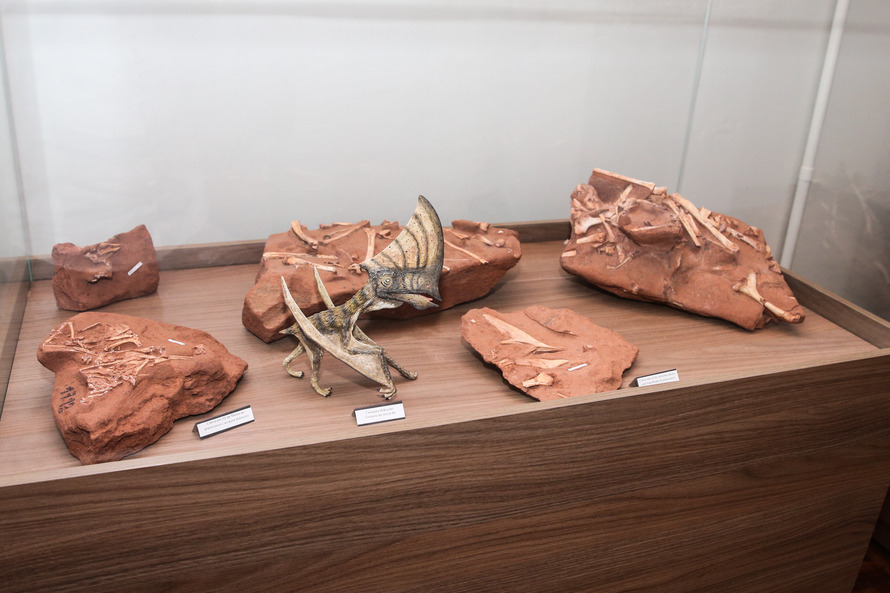  Sítio paleontológico no Paraná já revelou quatro espécies de animais pré-históricos