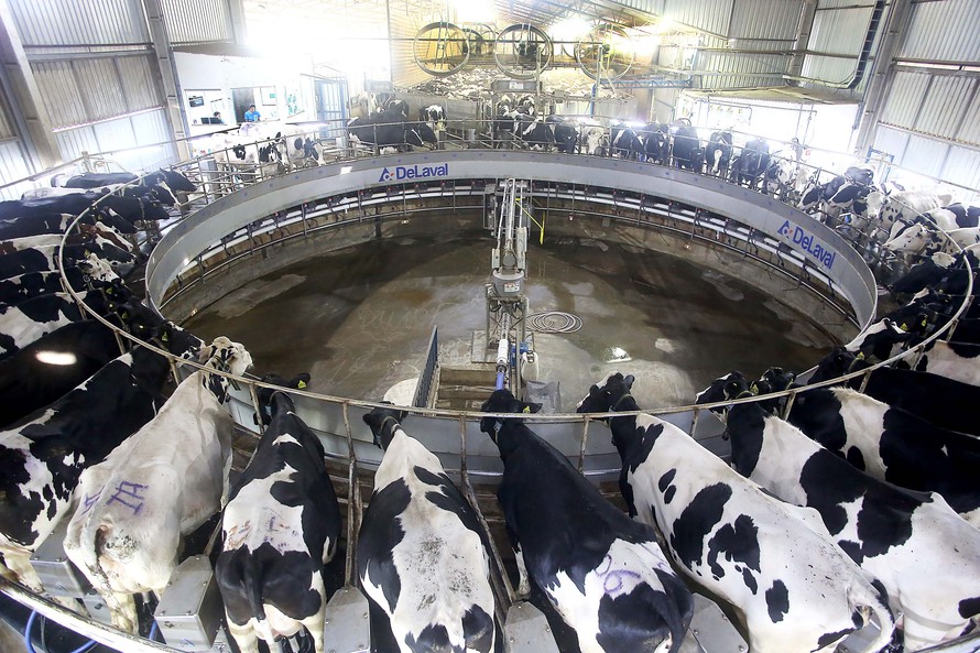ICMS de importação do leite em pó tem mudança