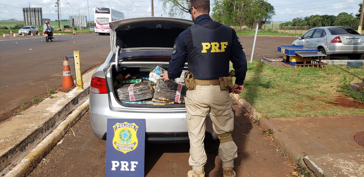  Mais de meia tonelada de maconha é apreendida em ações policiais no Paraná