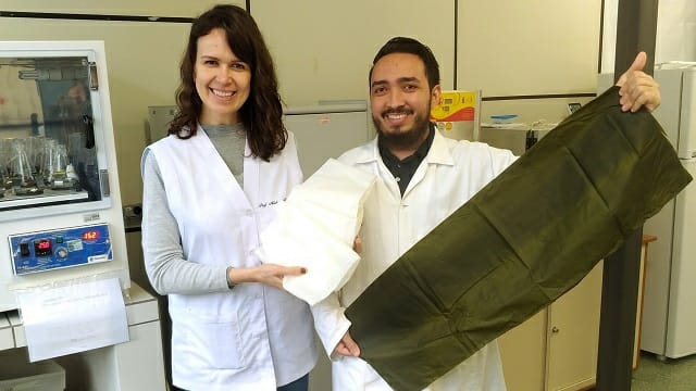  Pesquisadores da UFPR desenvolvem sacola biodegradável a partir de produtos naturais