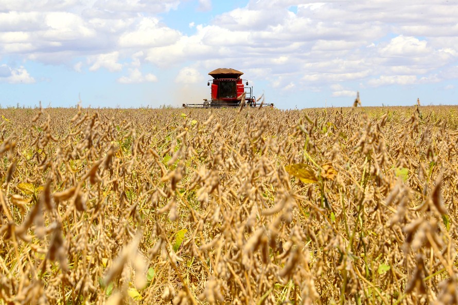 Exportações de soja crescem, mas faturamento cai no Paraná