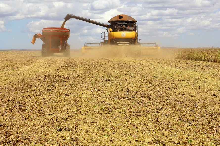  Impactado pela estiagem, Paraná deve produzir menos nesta safra de grãos, aponta Deral