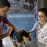 Curitiba abre cadastro para castração gratuita de pets