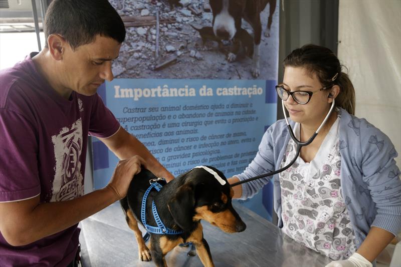  Curitiba abre cadastro para castração gratuita de pets