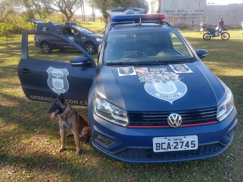  Cães da Guarda Municipal auxiliam em apreensão de drogas no CIC