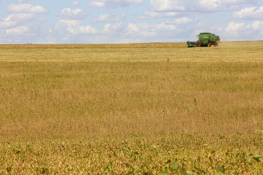  Safra de grãos de inverno deve chegar a 41 milhões de toneladas no Paraná