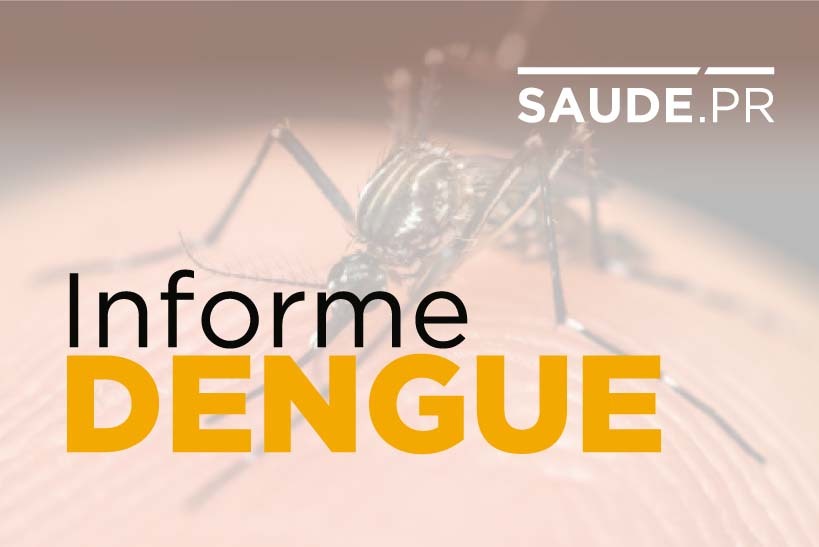  Boletim da dengue traz mais 337 casos no Paraná