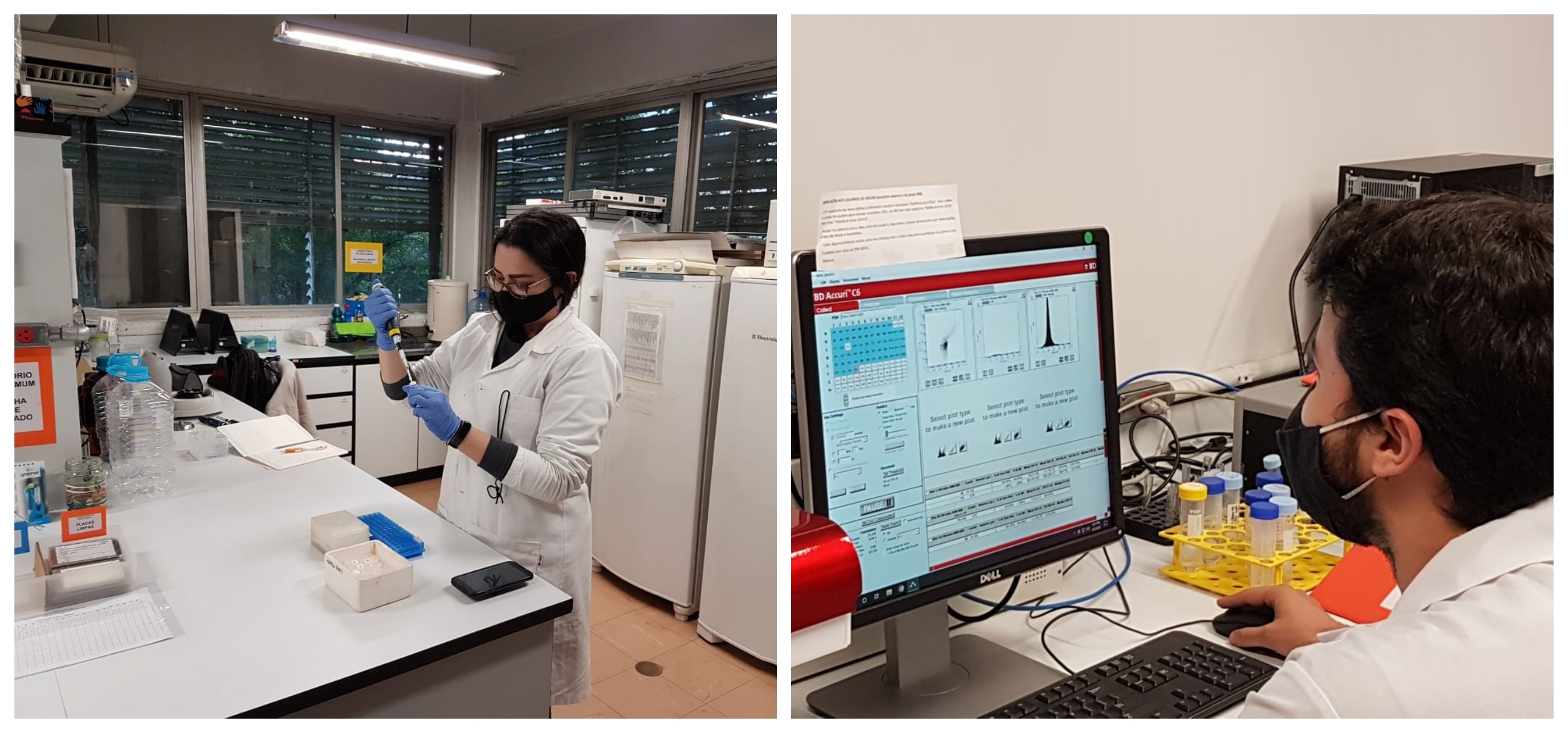  Vacina contra a Covid-19 da UFPR apresenta eficácia após testes em duas doses