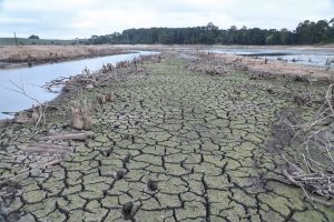 Falta de água é consequência do desmatamento e do setor da agricultura, segundo especialista em Gestão Ambiental