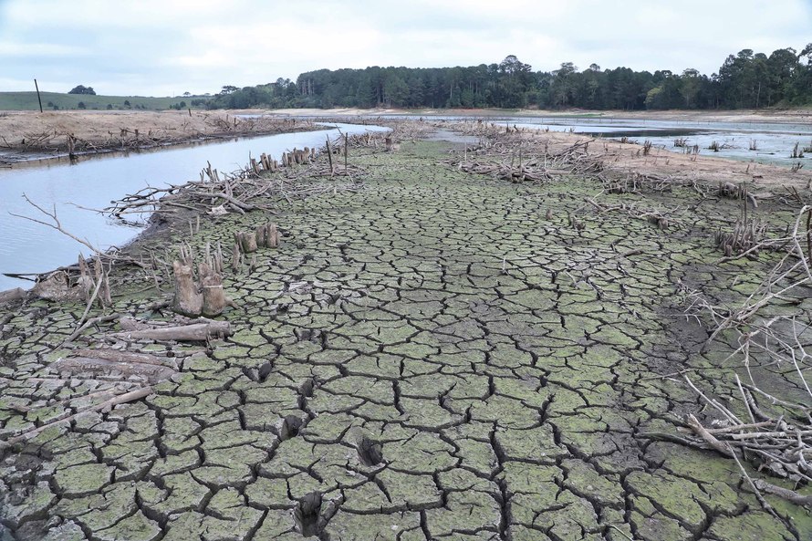  Falta de água é consequência do desmatamento e do setor da agricultura, segundo especialista em Gestão Ambiental
