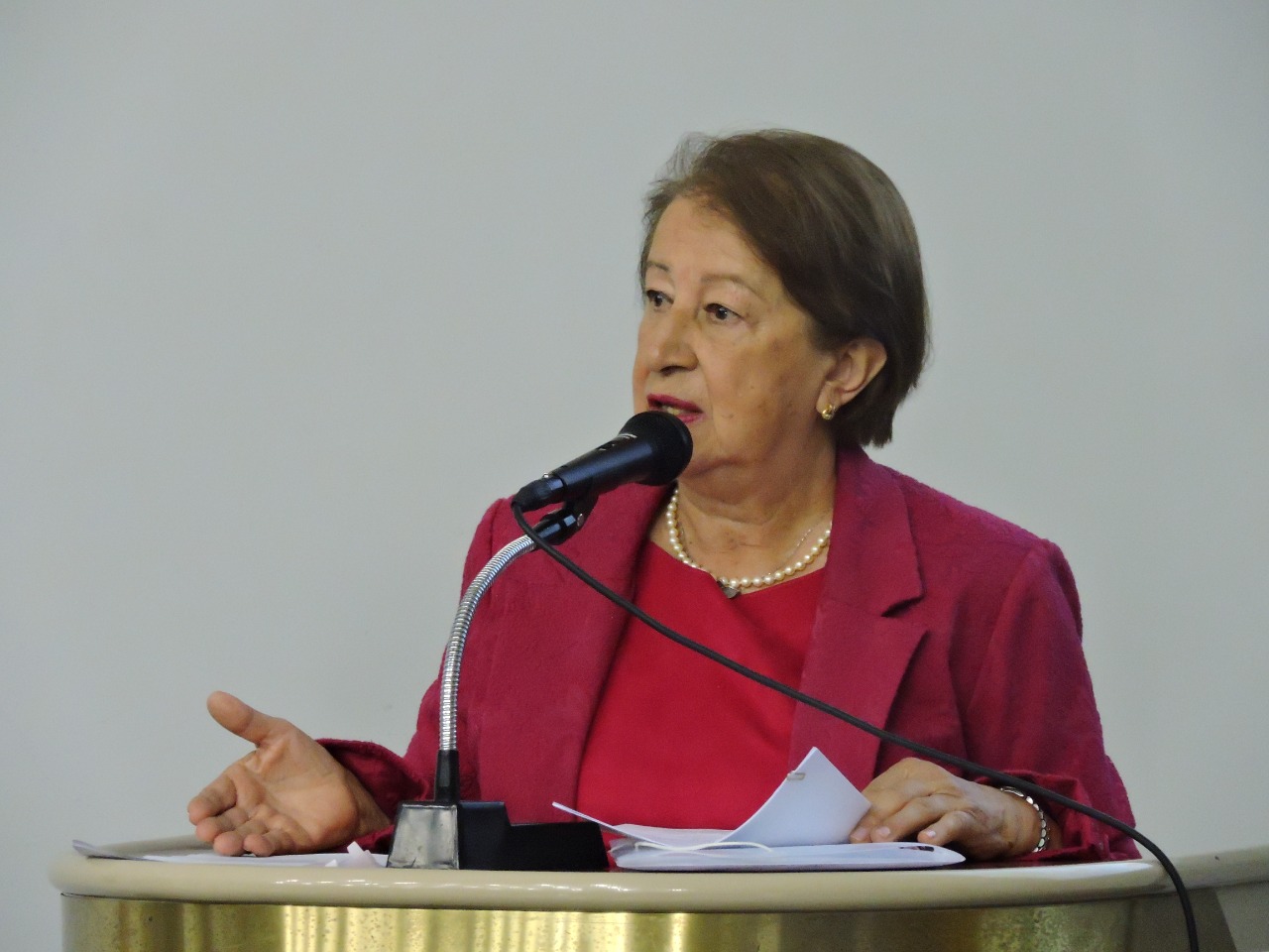  Isabel Mendes anuncia saída da presidência do Conselho da Comunidade de Curitiba e deixa legado na área de Direitos Humanos