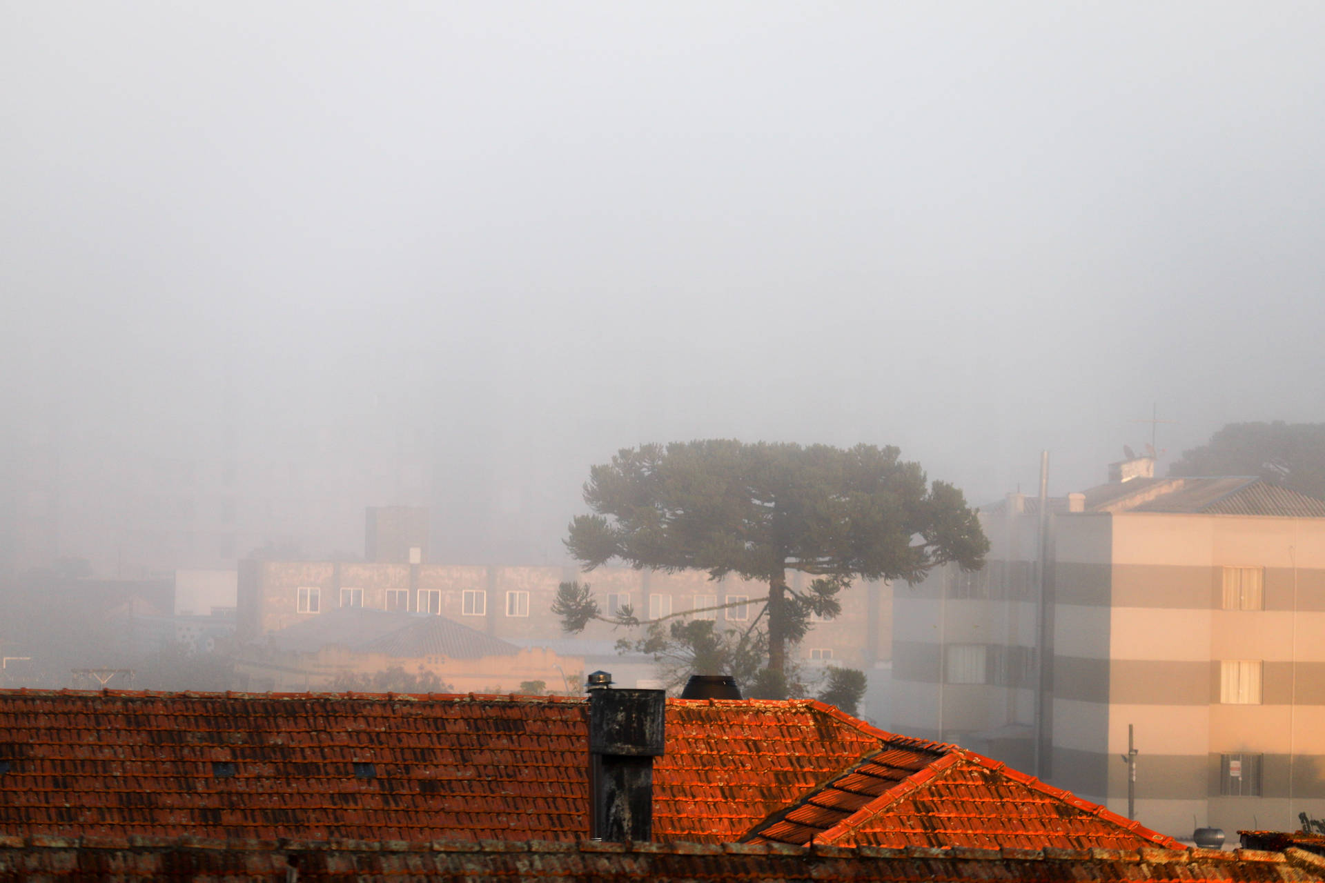  Amanhecer é marcado por neblina intensa em Curitiba