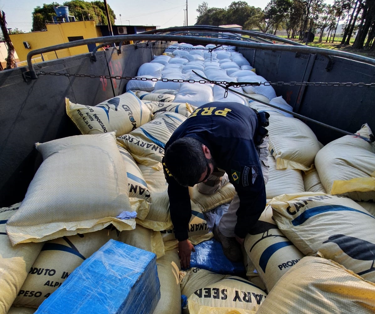  Caminhoneiro é preso com 2,7 toneladas de maconha escondidas em carga de feijão